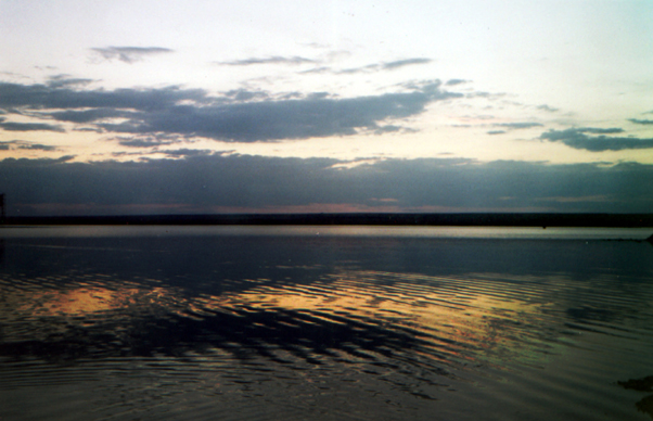 В клетке