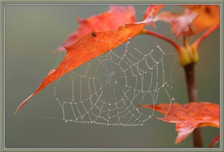 затаив дыхание