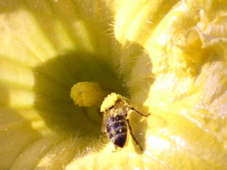 А я тоже красивой быть хочу, подпудрюсь чуть-чуть