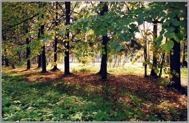Фотография 9