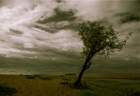 Снова ветер.