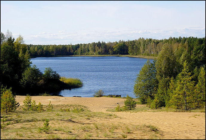 Лесное