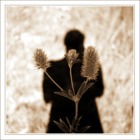 Заслоняя собою солнце.