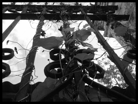 Ограда жизни