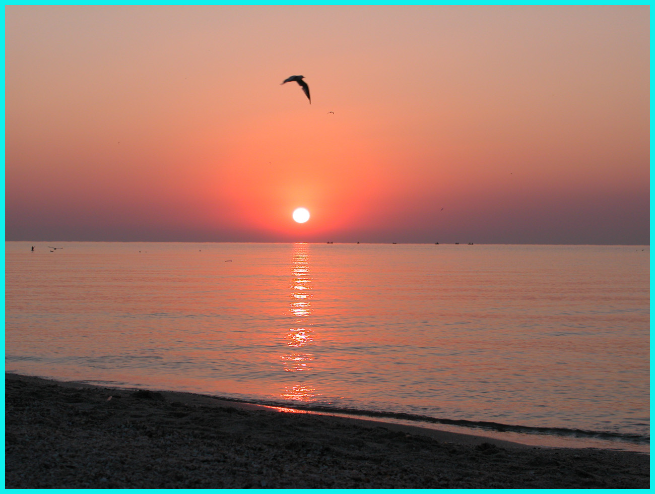 Azov sea