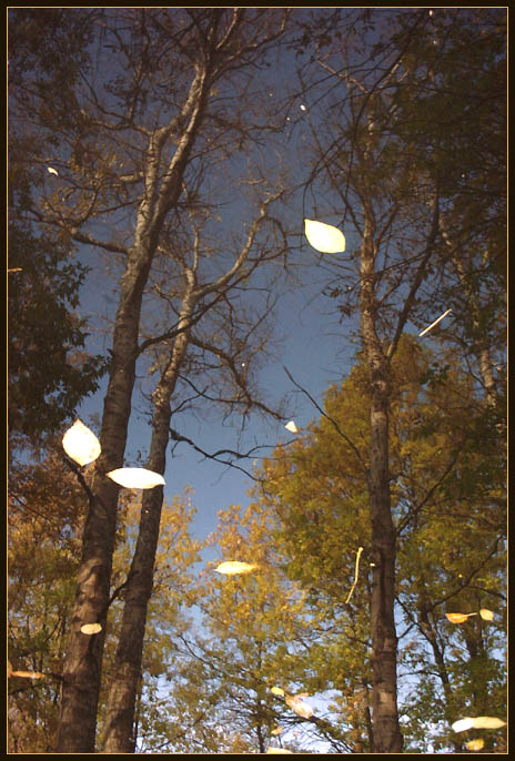 October Sky, or Reflection No.5