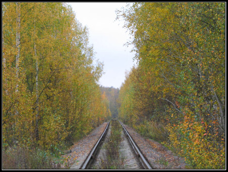 Дорога в осень