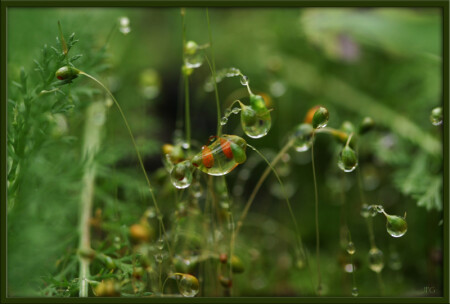 Энергия покоя 2