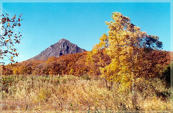 осень золотая