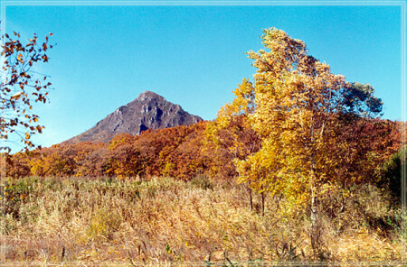 осень золотая