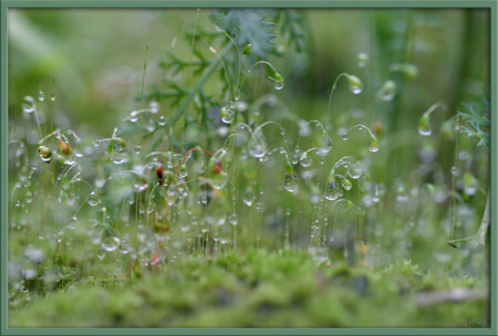 энергия покоя 3