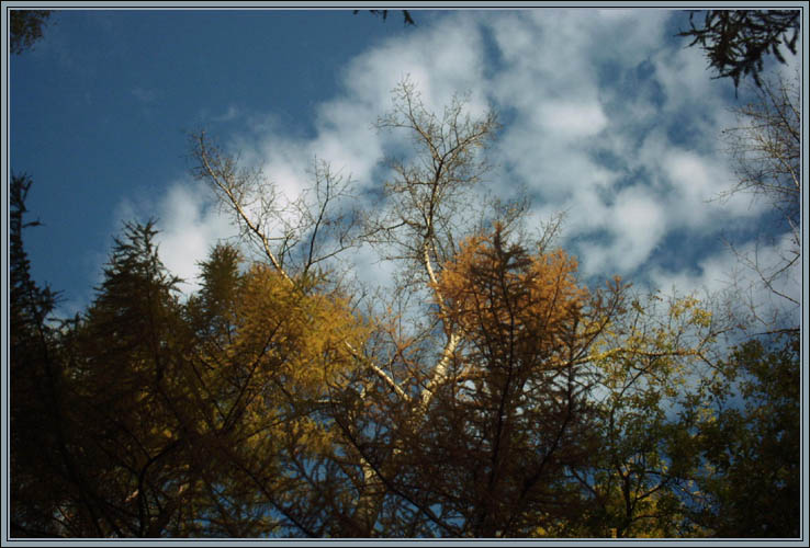 5 colors of october