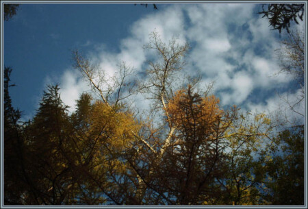 5 colors of october