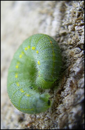 Cпать пора...