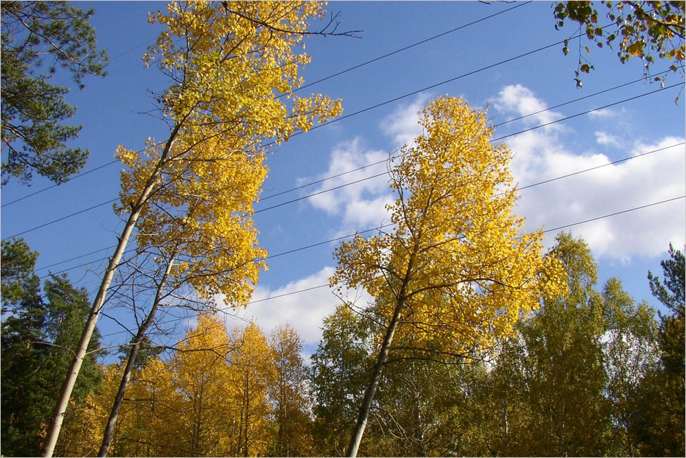 Осень