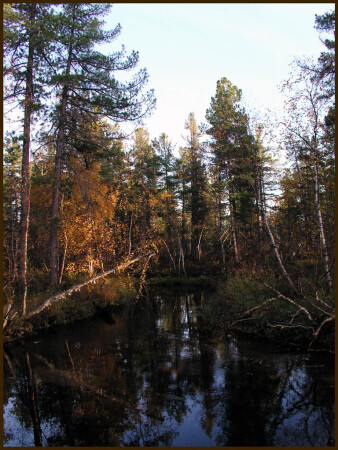 Осень