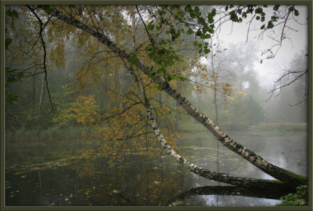 Осенняя гистограмма