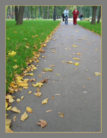 Осень в парке.
