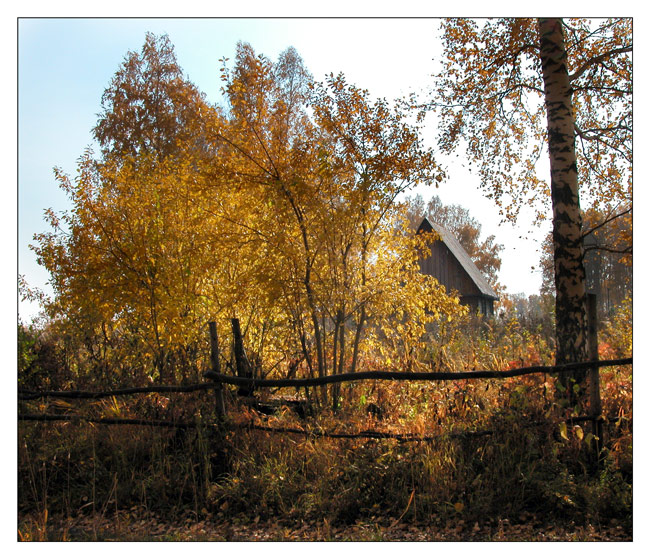 Осень_09