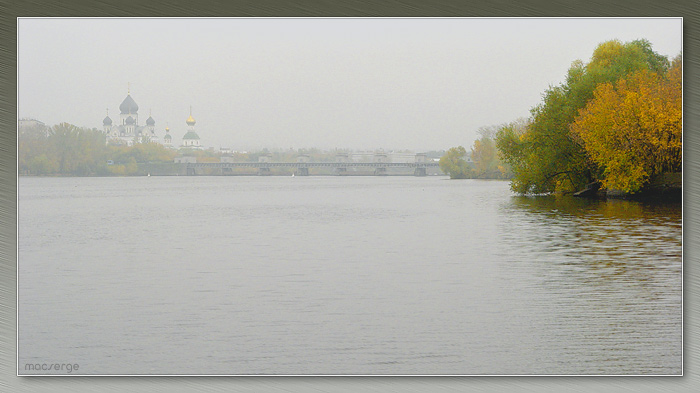 Ржавчина осени на монохроме тумана