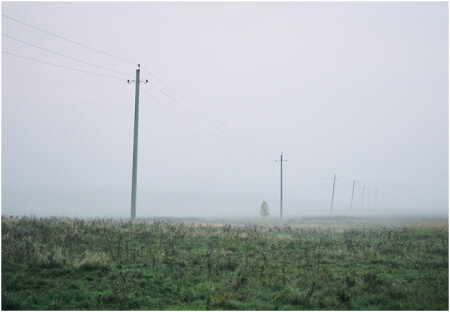 Ежик в тумане