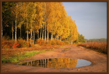 полесье