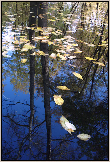 Reflection No.6
