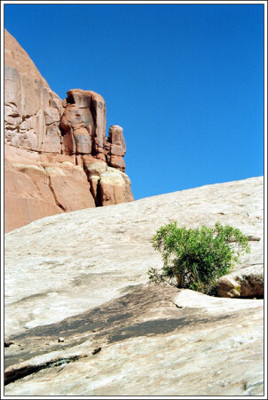 Каждую ночь я вижу во сне горы....