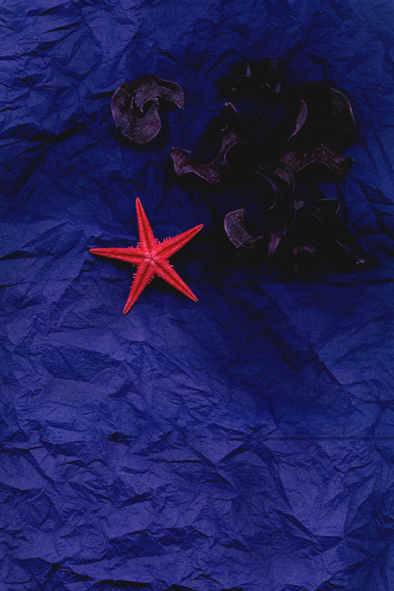 Zvezda