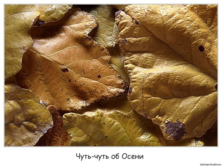Чуть-чуть об Осени