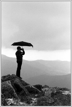 Viewer