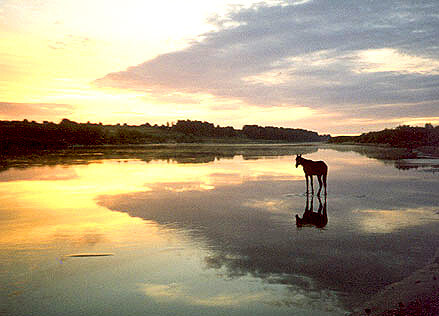 Ветлуга. Закат. #2