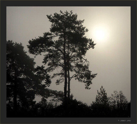 в пелене октября