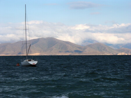 [Армения] На привязи...