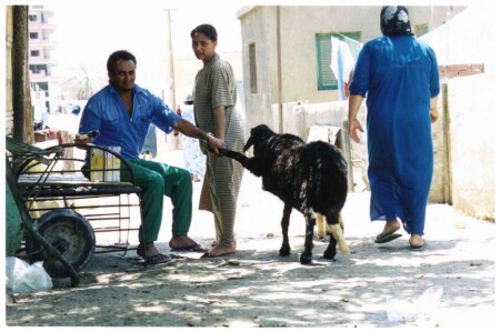 Здорово, мужик!