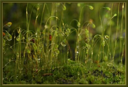 энергия покоя 4