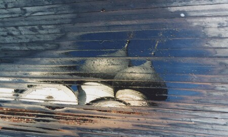 Вологодские отражения - 2