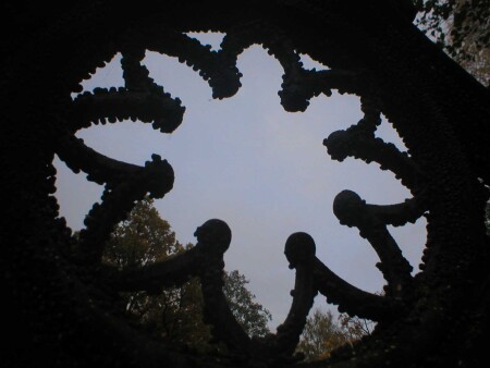 Осень, небо и необычный ракурс....