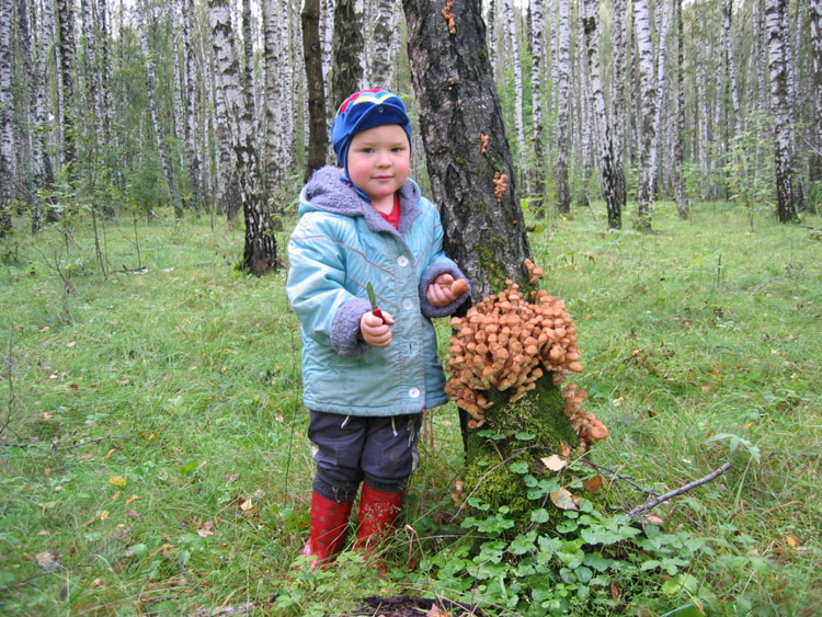 Сейчас мы их почикаем...