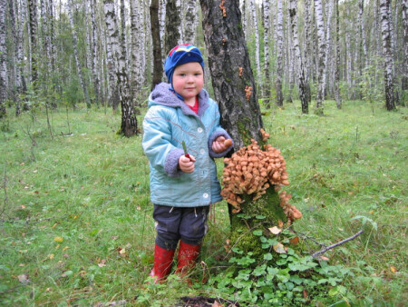 Сейчас мы их почикаем...