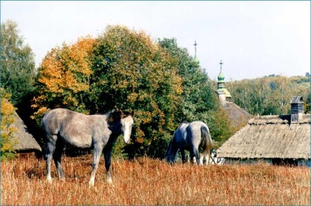 Лошаденки