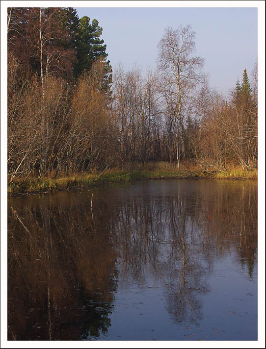 жесткий октябрь