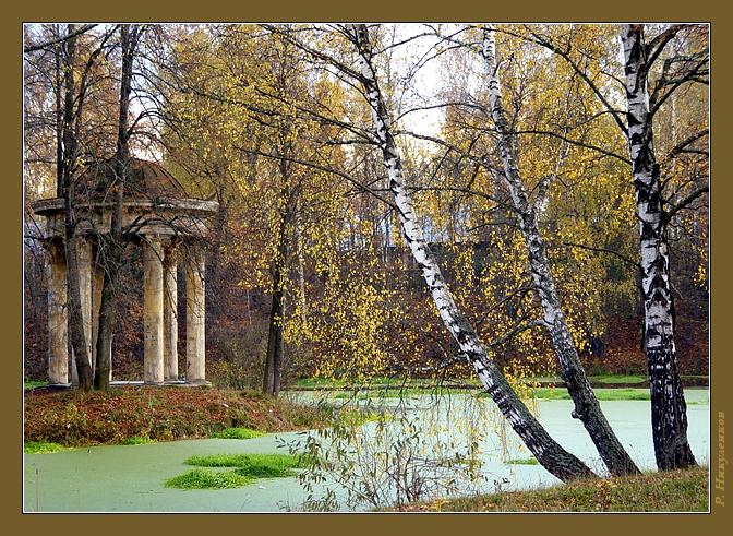 Отголосок лета