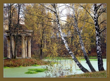 Отголосок лета