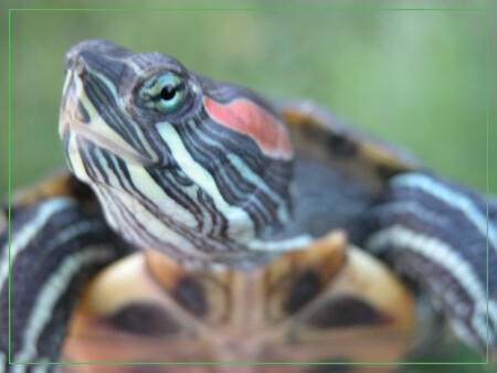 Взгляд* (серия)