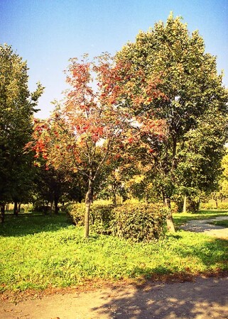 Осеннее солнце