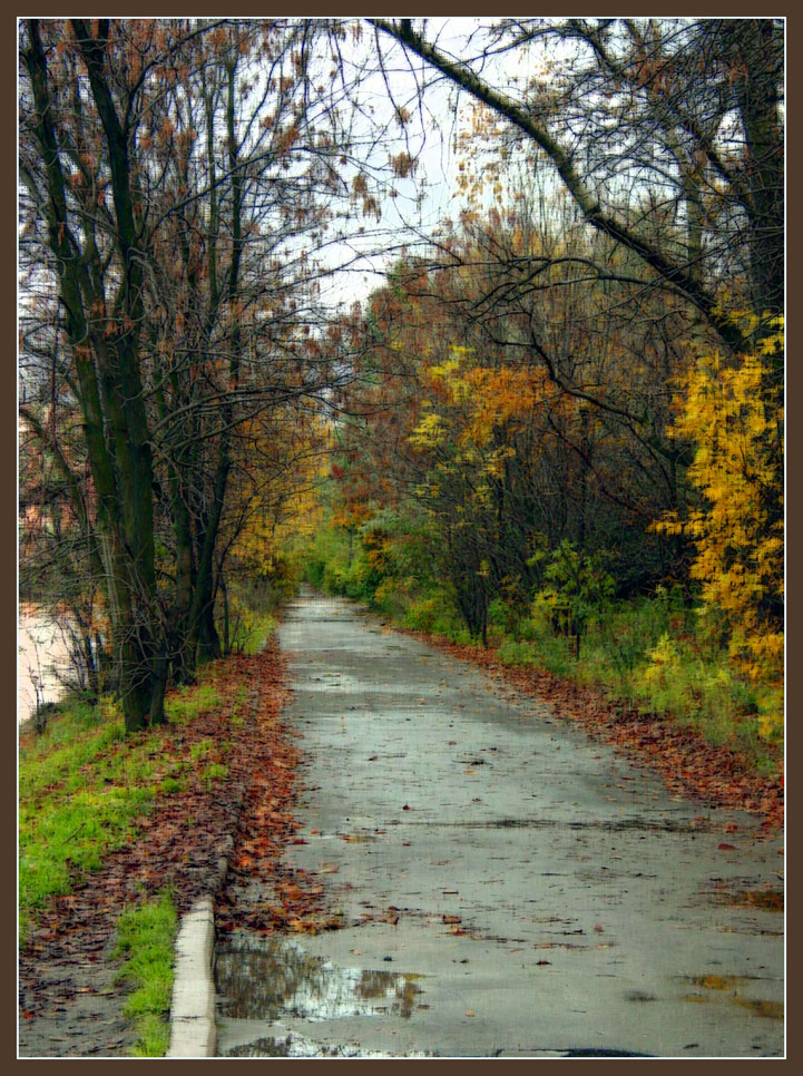 Дорожка в осень