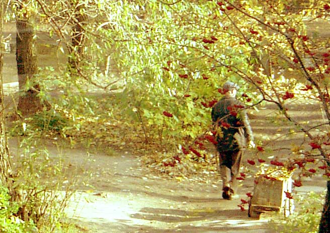 Дворник