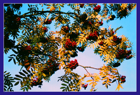 Про осень...