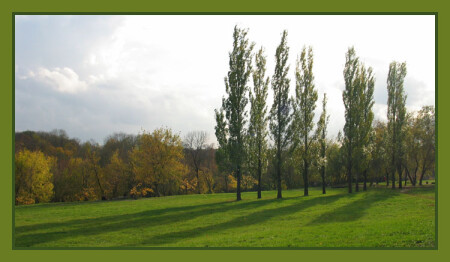 Сестры.
